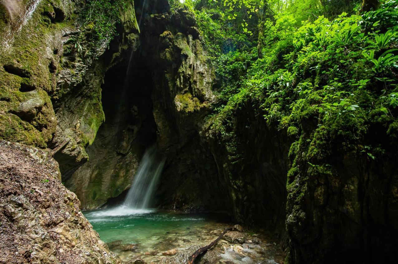 Hotel Garni My Ledro بييفي دي ليدرو المظهر الخارجي الصورة